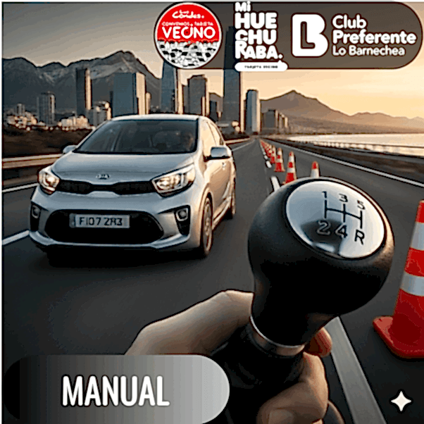 Curso domicilio manual